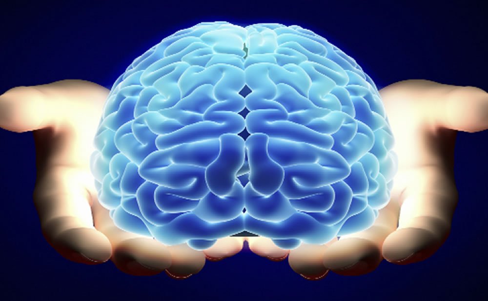CEREBRO