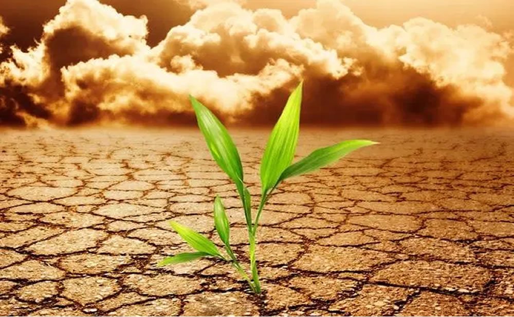 resiliencia-combinada-con-perseverancia