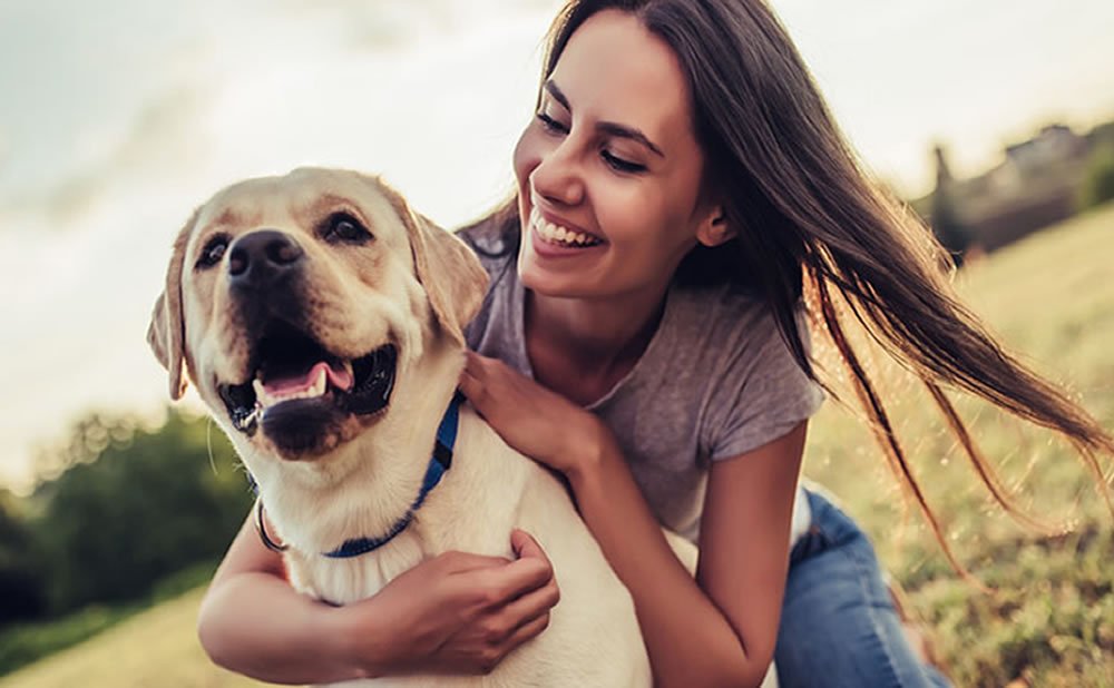Aprende sobre los beneficios de un animal de apoyo emocional