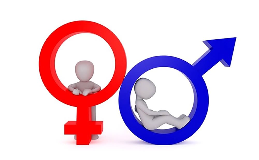 DESARROLLO de la IDENTIDAD