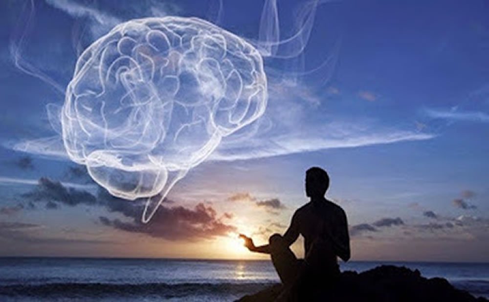 Impacto en el cerebro de la MEDITACION ZEN