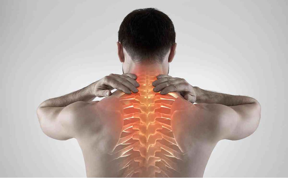 Medula espinal HOMEOSTASIS