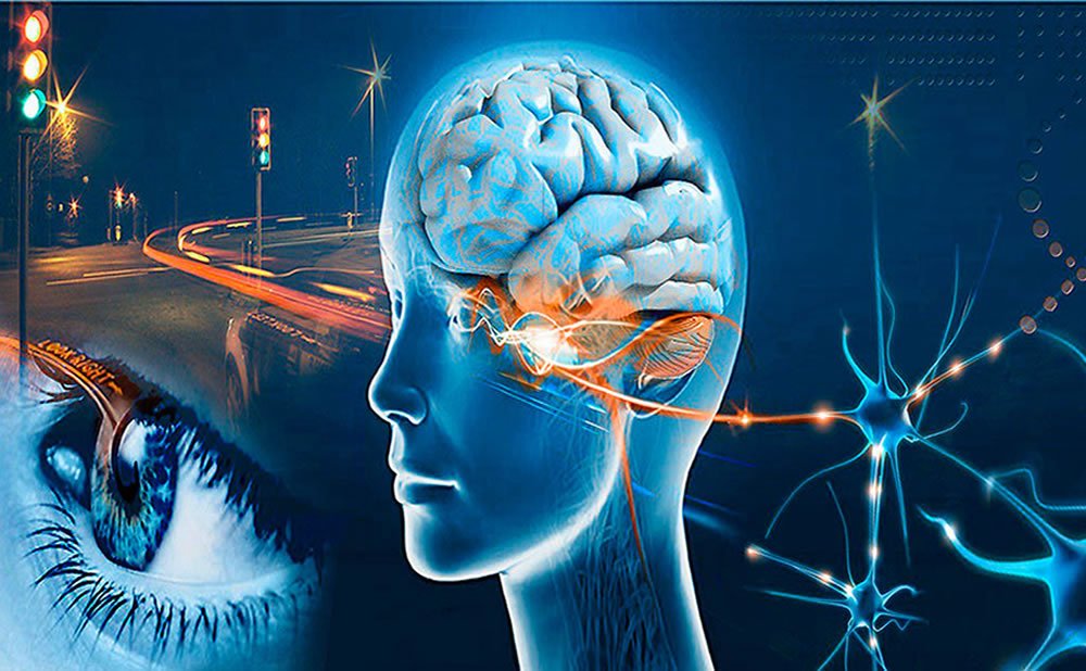 Pasos de PROCESO PERCEPTIVO