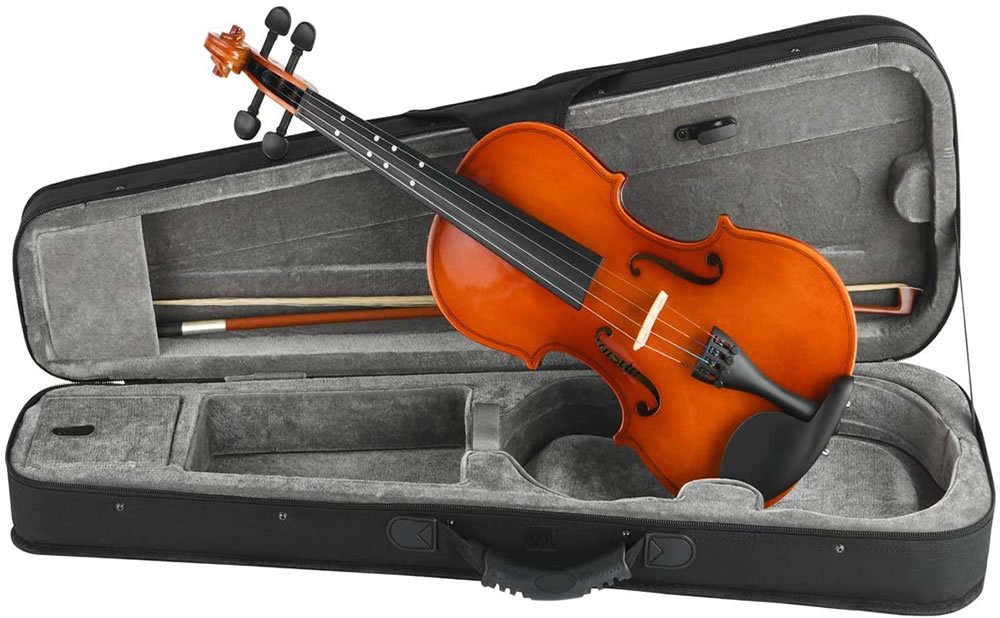 Aspectos importantes a tener en cuenta al comprar un VIOLIN