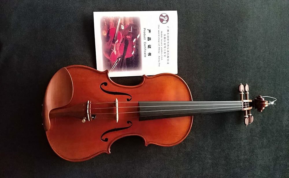 Comprueba el estado y el certificado del instrumento VIOLIN