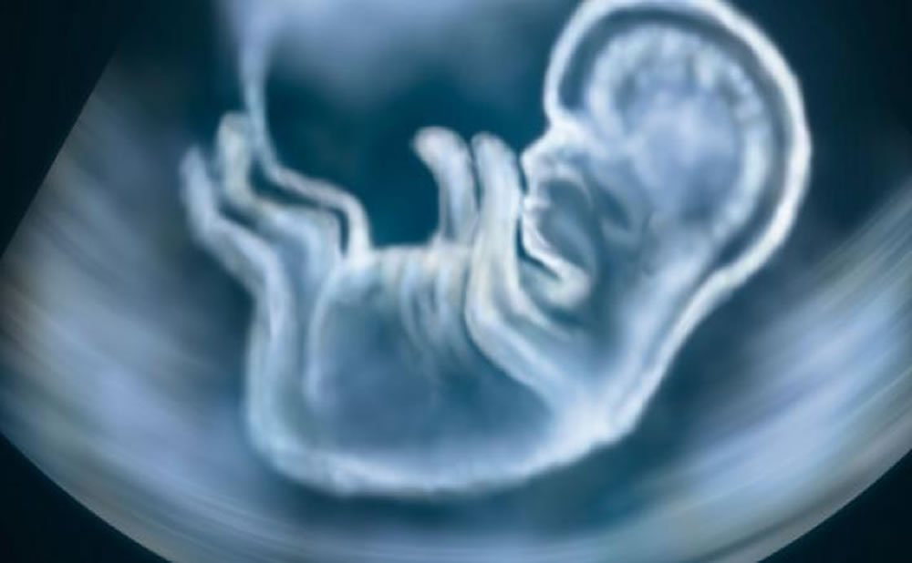 Elevacion temprana de la cabeza durante el tiempo en la barriga