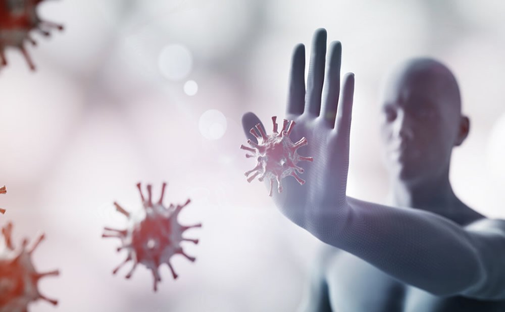 Favorece la salud del sistema inmunitario