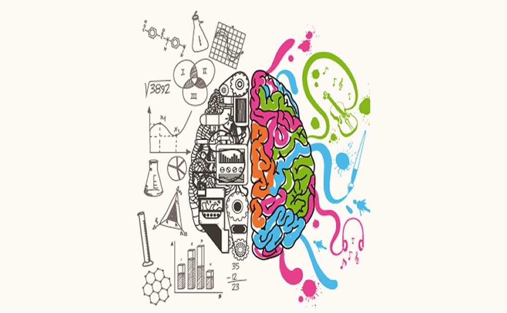 Cerebro irzquierdo vr cerebro derecho que significa esto para mi