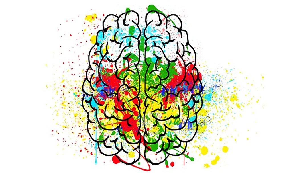 La teoria del cerebro izquierdo y derecho