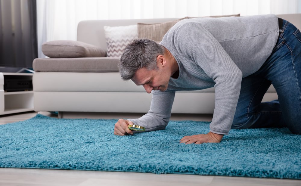 Factores de riesgo del sonambulismo