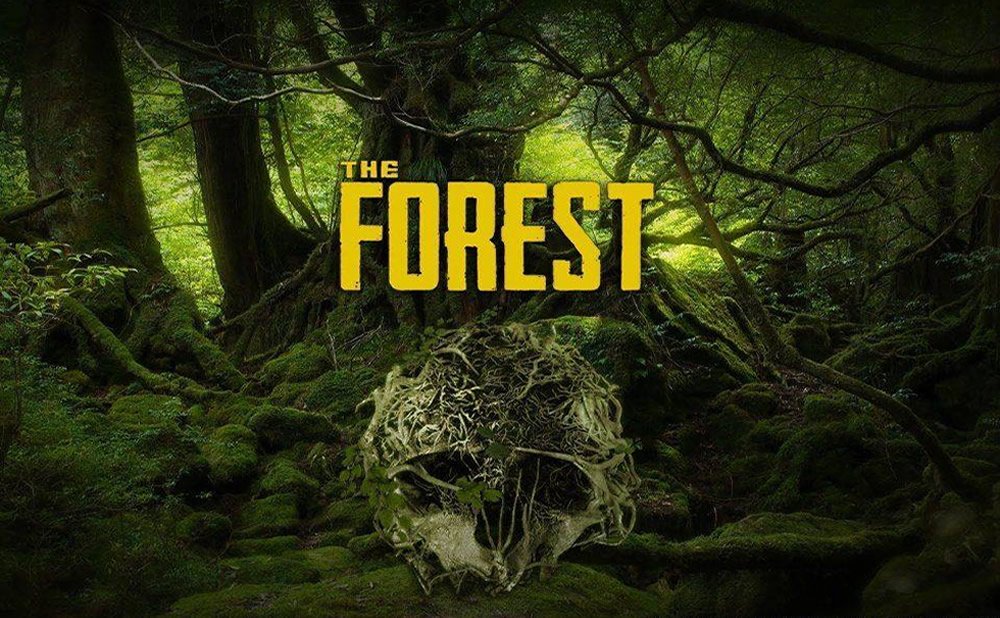 The forest