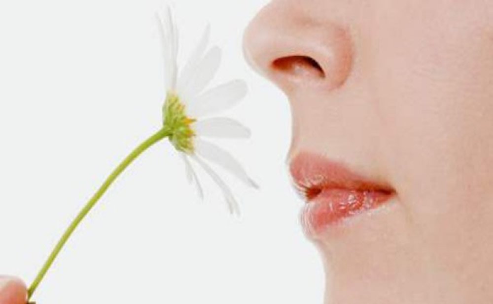 El olor adaptacion sensorial