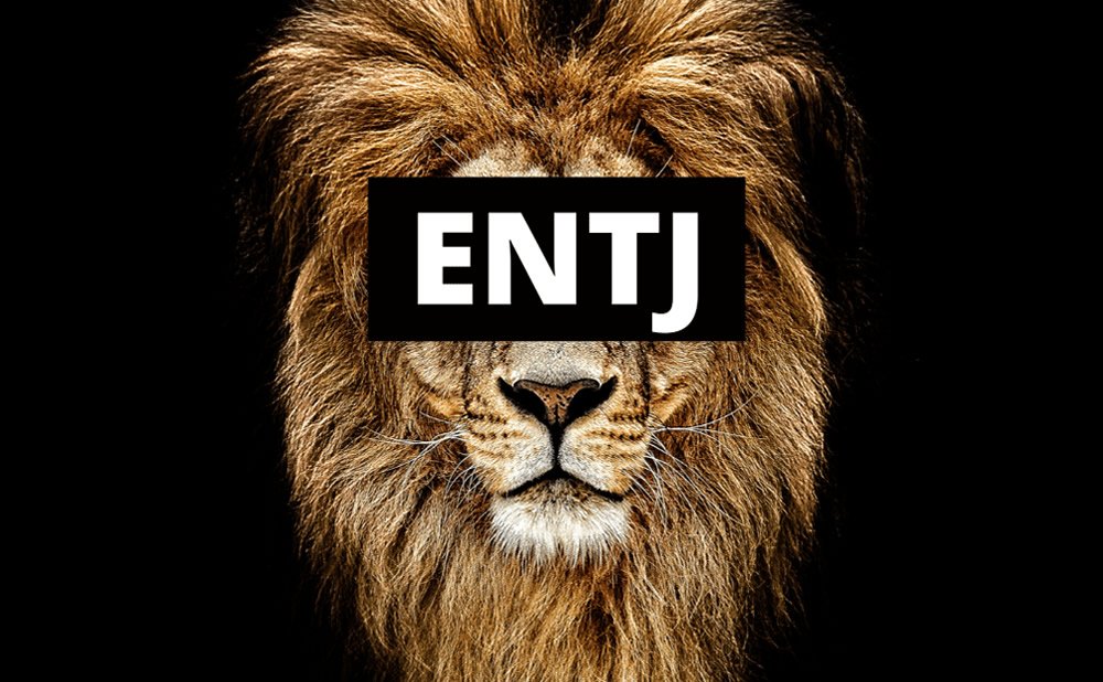 ENTJ: El Comandante (Extravertido, Intuitivo, Pensador, Juzgador)