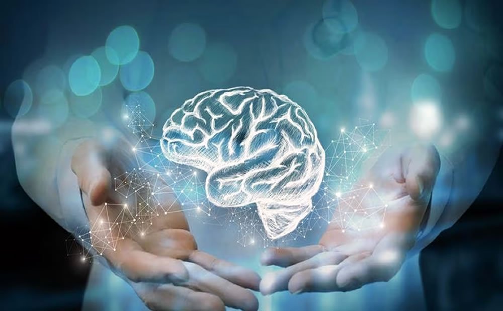 Algunas tecnicas que nos ayudan a reconfigurar nuestro cerebro para el exito formas saludables de celebrar el exito