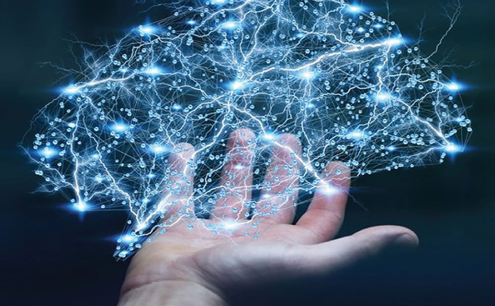 Comprender el cerebro la neurobiologia de la vida cotidiana cursos gratis de psicologia