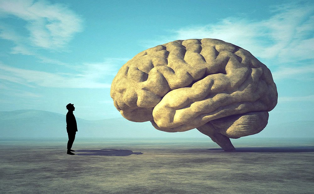 Algunas razones para especializarse en psicologia por que deberias especializarte en psicologia
