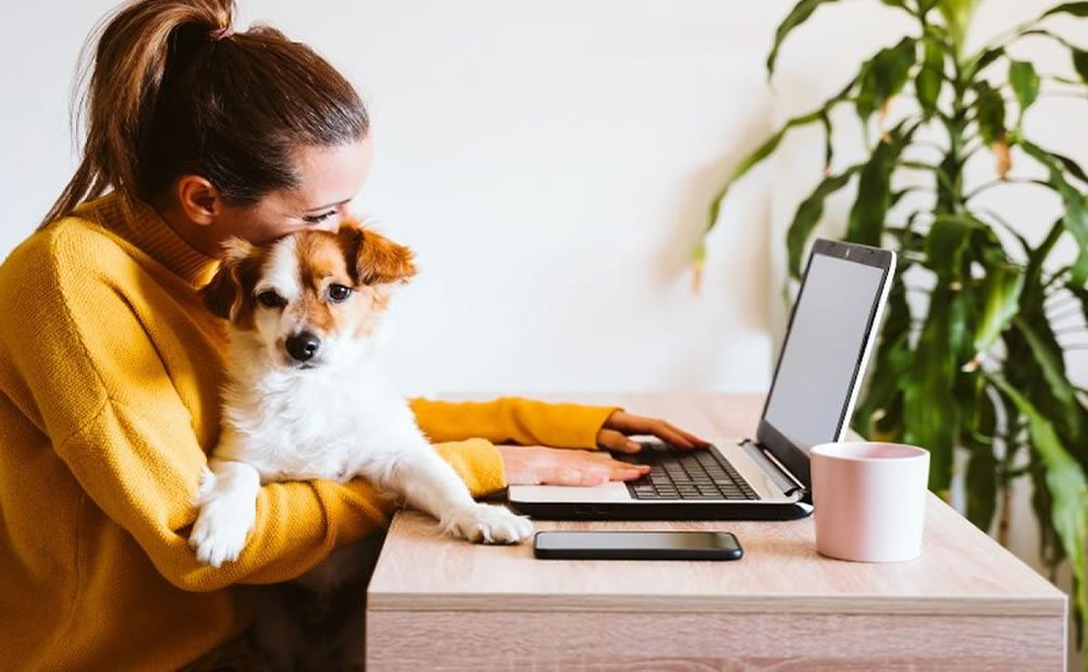 Considere solicitar adaptaciones como tratar con los empleadores cuando tienes toc