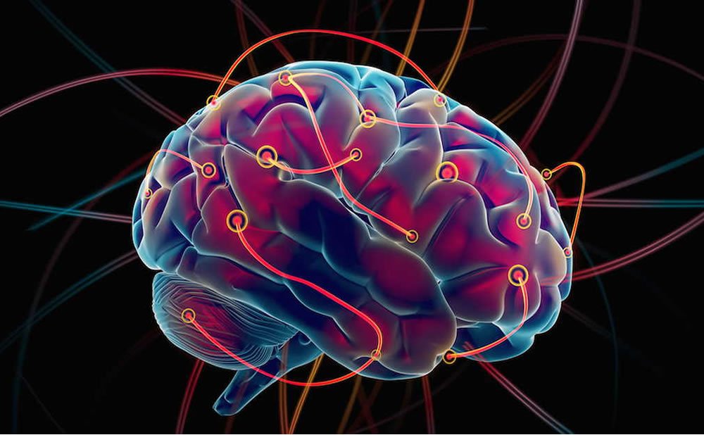 Dopamina el vinculo entre las hormonas y la salud mental