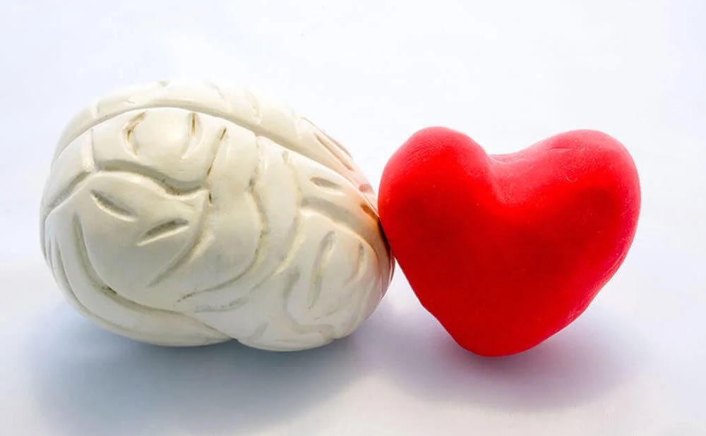 El amor esta influenciado por la biologia o la cultura
