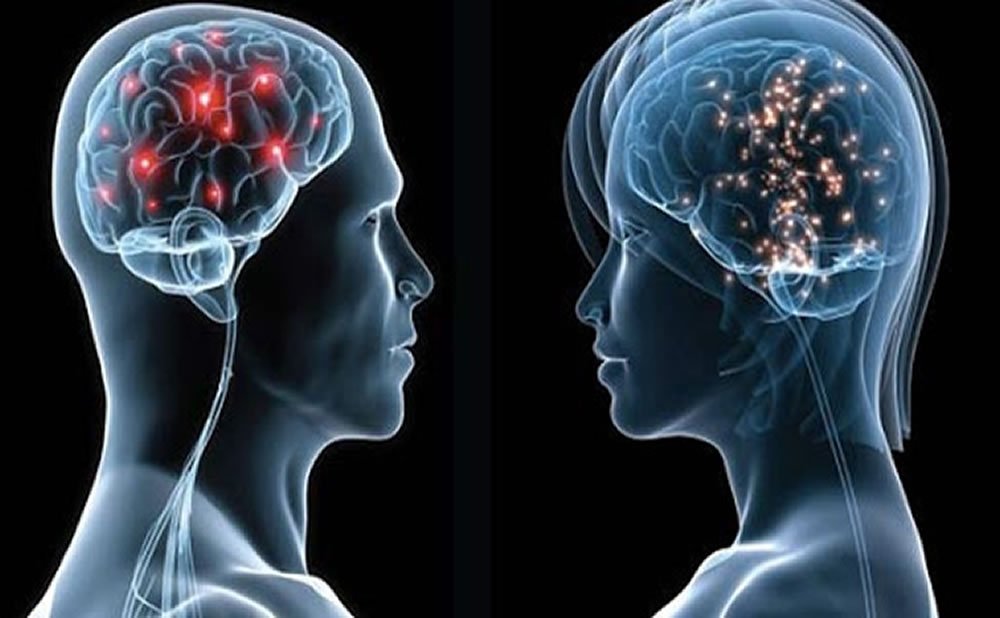 ¿Qué sucede en tu cerebro cuando te enamoras?