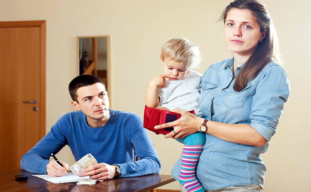 Abuso economico financiero una mirada al interior de la disciplina domestica