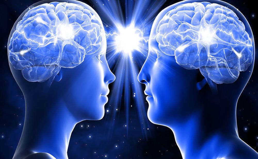 Cerebro de aprendizaje vs. cerebro de supervivencia: ¿cuál es la diferencia?