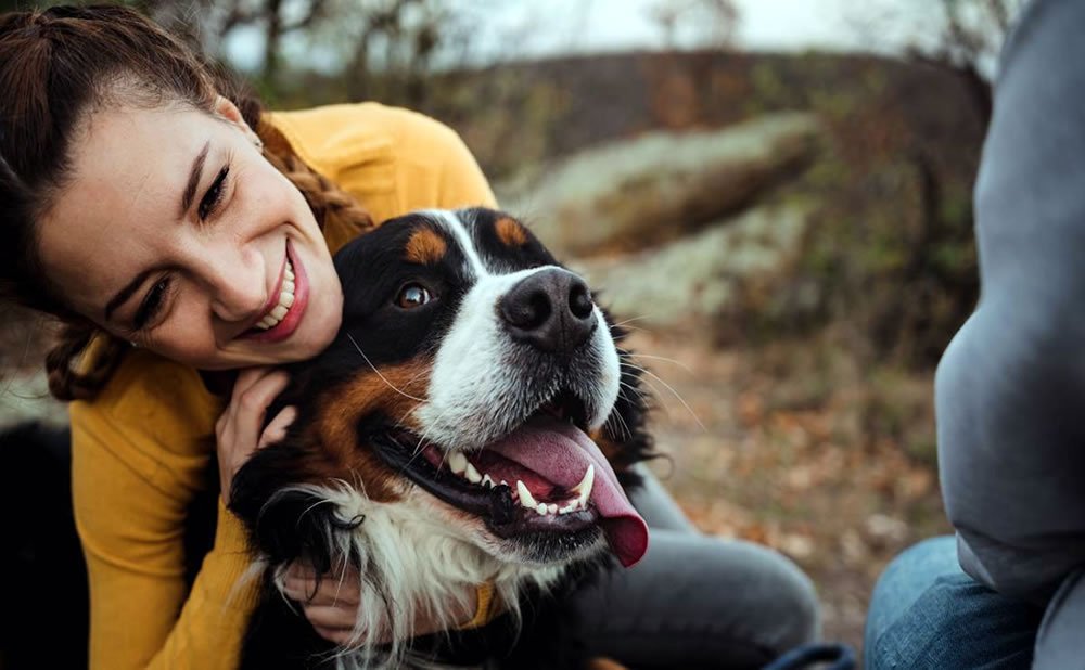 Pasa tiempo con animales simplemente creer que puede mejorar su bienestar mental es de gran ayuda