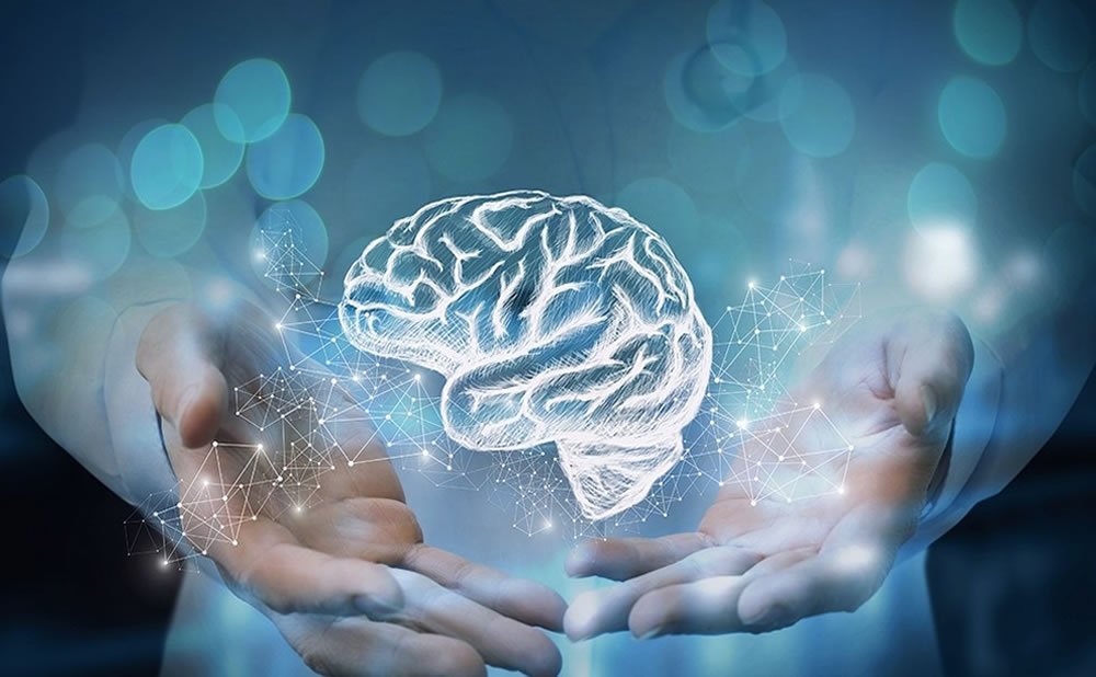 Neurologia por que necesitamos las teorias psicologicas