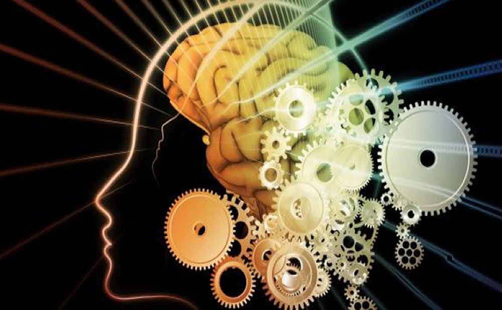 Construyendo recuerdos a largo plazo con nueva informacion que es la consolidacion de la memoria