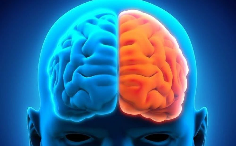 Mejorar la comunicacion entre los hemisferios del cerebro la estimulacion bilateral funciona para la ansiedad