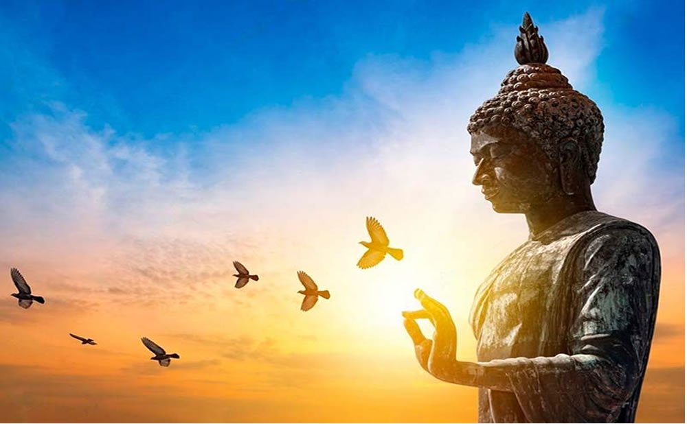 Sufrimiento una guia completa de la meditacion budista principios tecnicas y beneficios