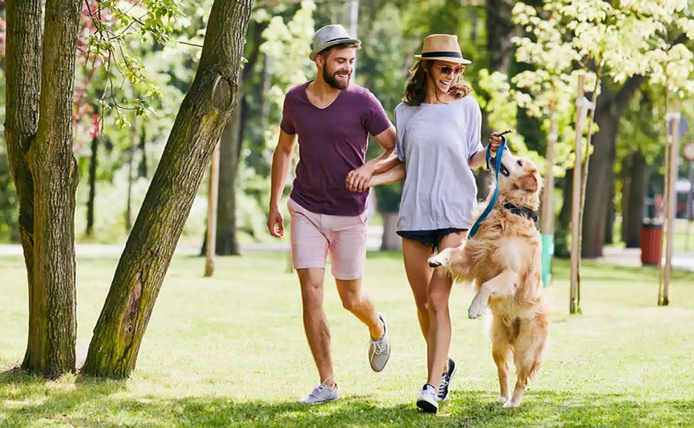 ¿Cómo mantener una relación de pareja solida y feliz sin hijos?